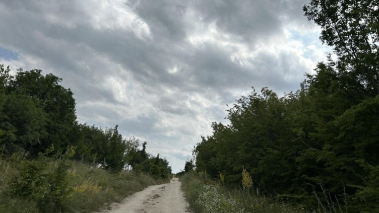 Черният леопард отново в Шуменското плато – съвети за безопасно поведение от експертите