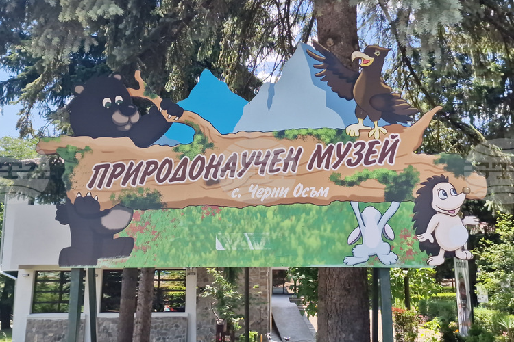 Природонаучният музей в Черни Осъм представя връзката между насекомите и технологиите чрез проект по бионика